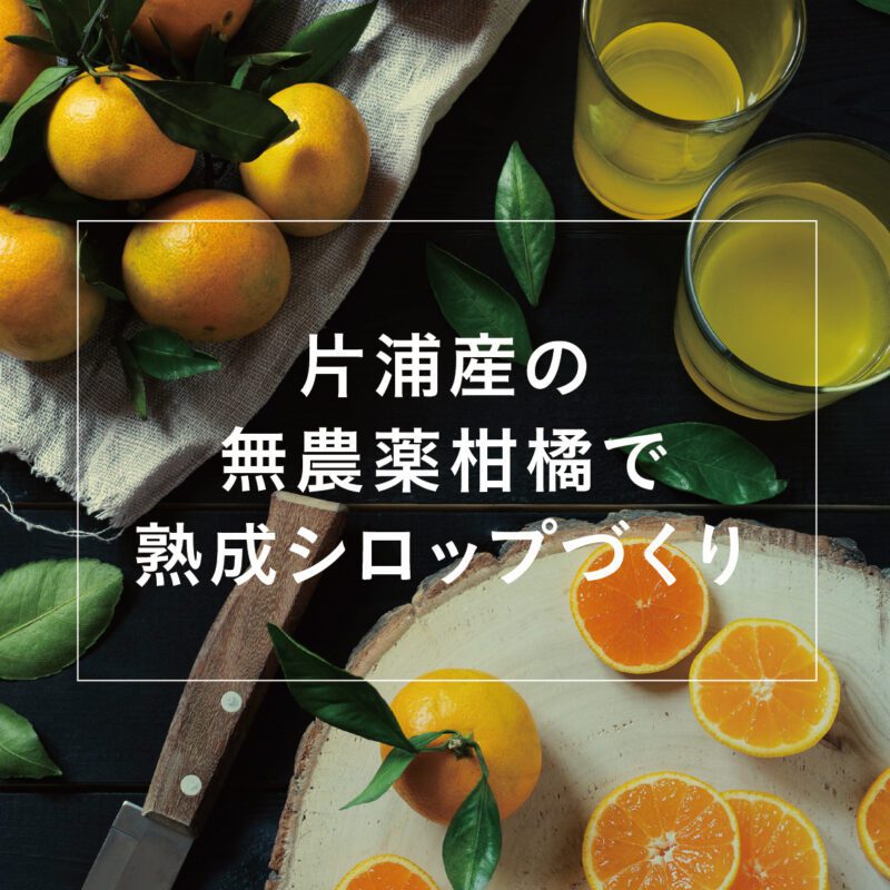 【3/9,11】片浦産の無農薬柑橘で熟成シロップづくりのサムネイル画像